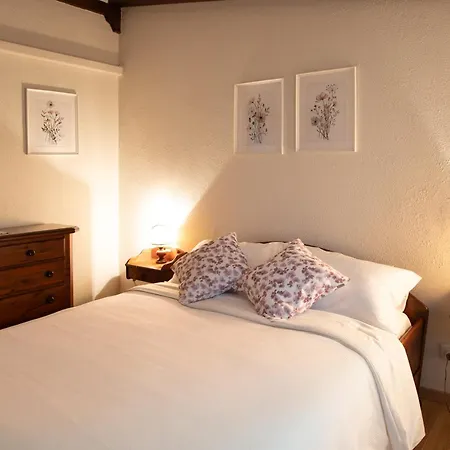 La Ginestra Casa de Férias Mossa