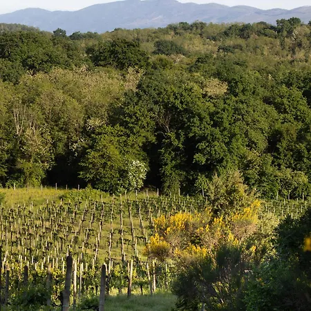 La Ginestra Holiday home Mossa