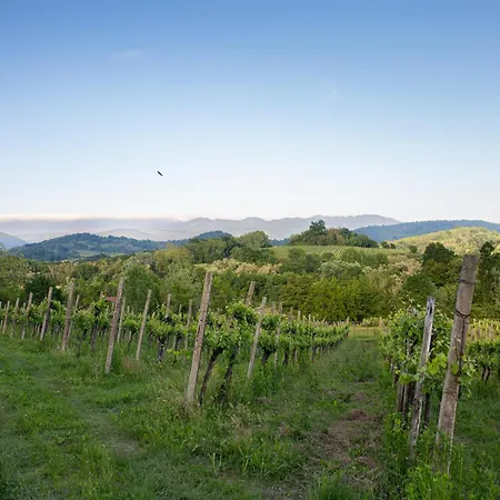 La Ginestra Holiday home *