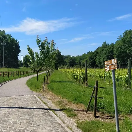 La Ginestra
